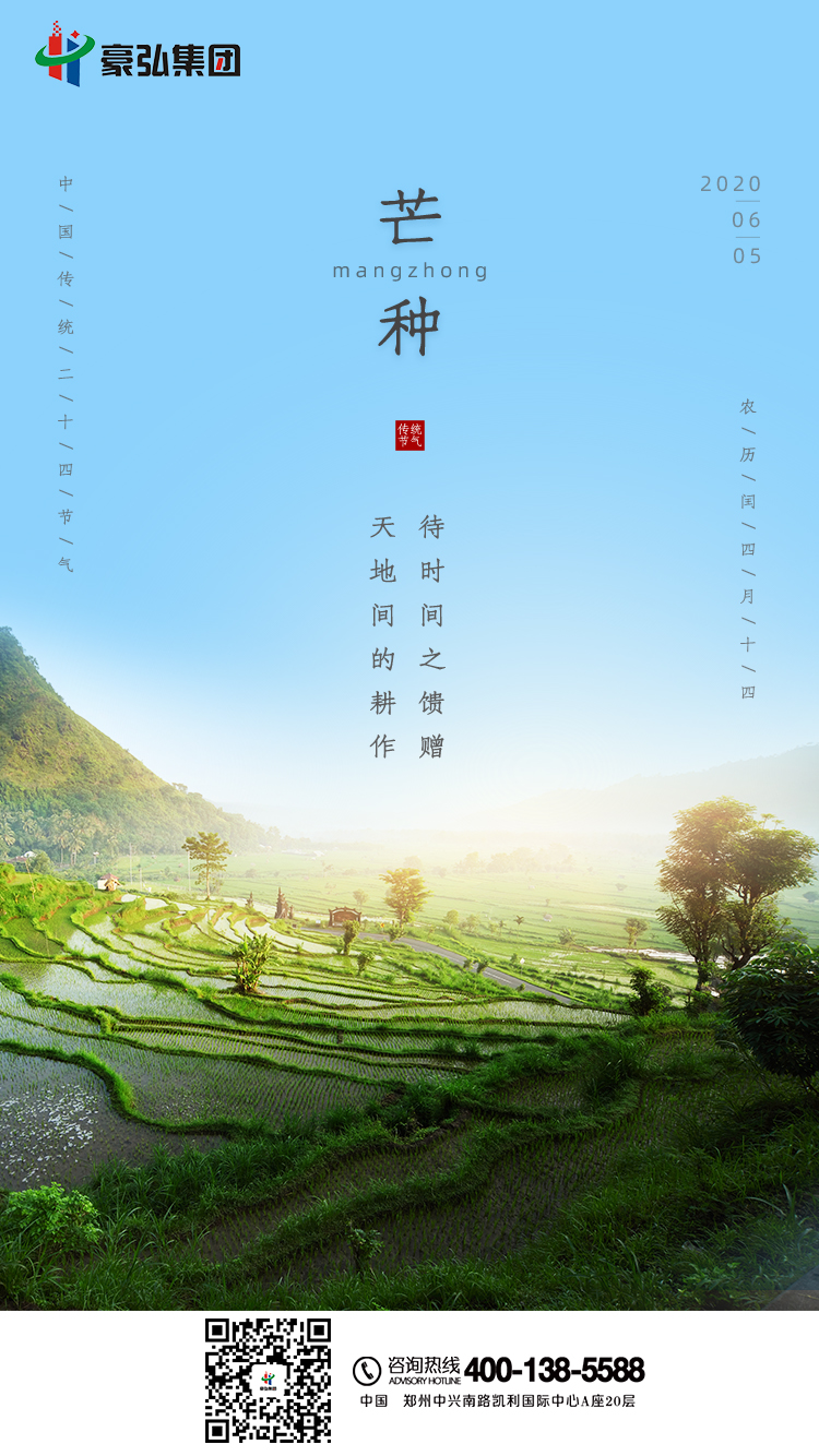 芒种.jpg